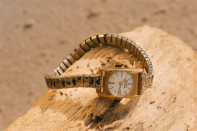 一塊木頭上的艾爾多手表