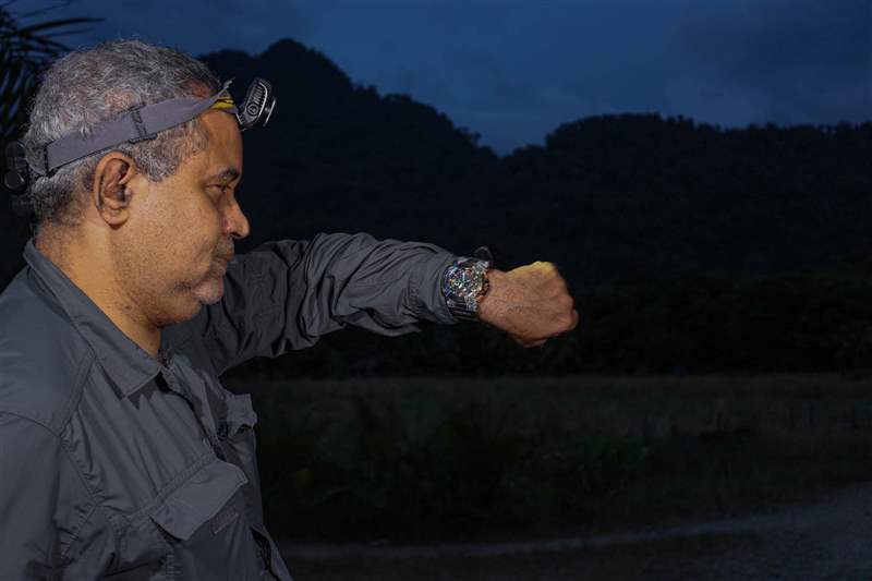 僅僅因為一位真正的青蛙教授評論了G-Shock Frogman Borneo Rainbow Toad-復刻表