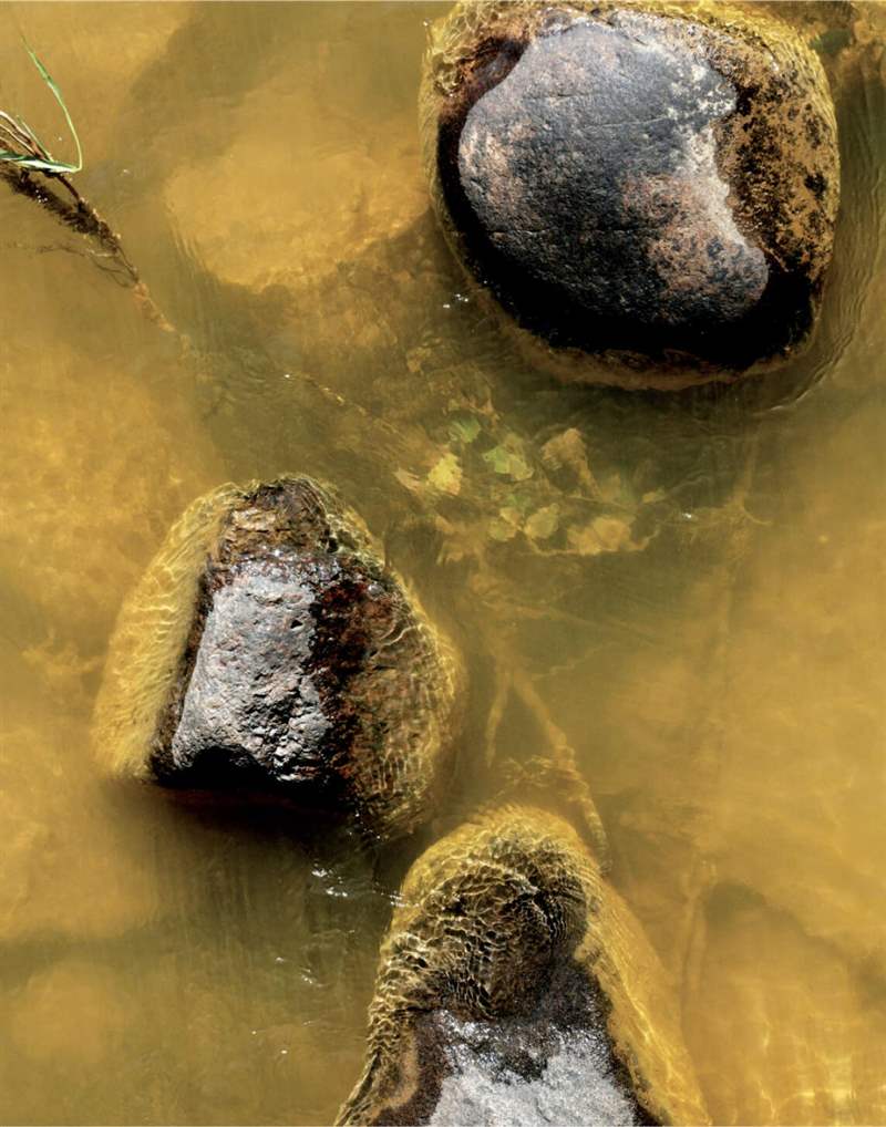 <p>2015 年發生事故后，科羅拉多州阿尼馬斯河的采礦廢料污染水域。 杰瑞·麥克布萊德攝。</p>