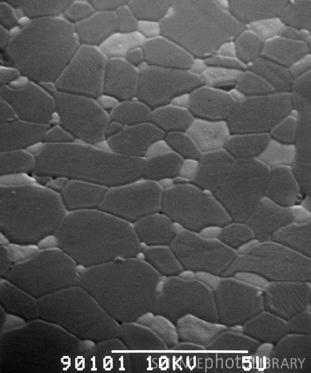 表殼材料說明:陶瓷-復刻表